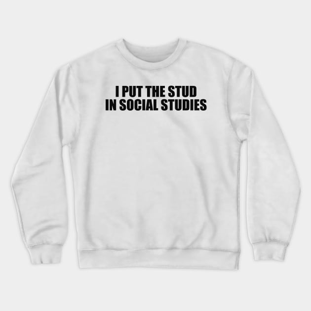 Funny History Shirt, I Put The Stud In Social Studies Student or Teacher Funny Gift 2000s Inspired Crewneck Sweatshirt by ILOVEY2K